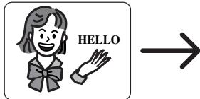 DENON DVM-2815 - Audio Language or Sound Mode - 2