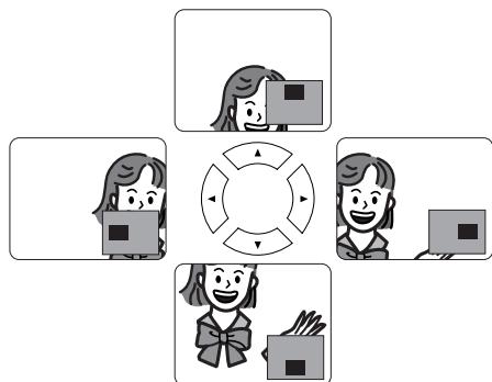 DENON DVM-2815 - Zoom - 4