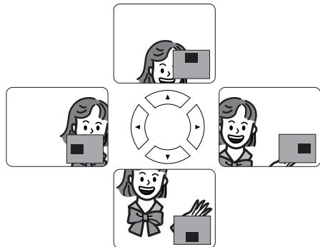 DENON DVM-2815 - Zoom - 4