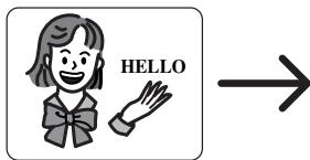 DENON DVM-2815 - Idioma de audio o modo de sonido - 2