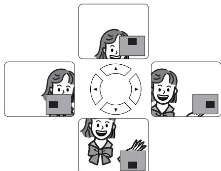 DENON DVM-2815 - Zoom - 4