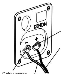 DENON S-M53 - Anschlüsse - 1