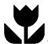 ZANUSSI TLS592C1 - Safeties - 1
