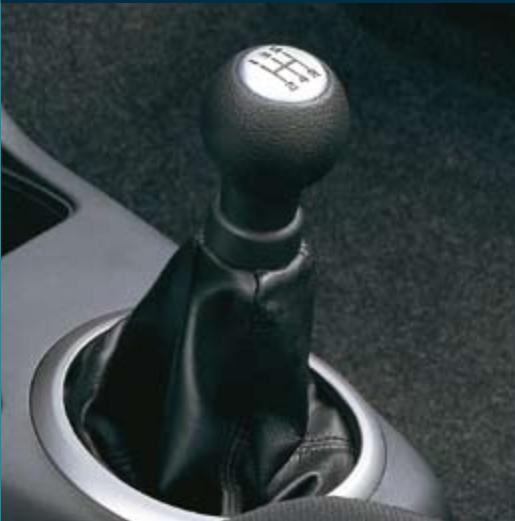 SUZUKI SWIFT - Décovrir sa beauité interieure - 3