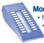 ALCATEL-LUCENT ADVANCED REFLEXES - Modules de supervision - 1