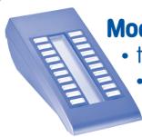 ALCATEL-LUCENT EASY REFLEXES - Modules de supervision - 1