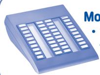 ALCATEL-LUCENT PREMIUM REFLEXES - Module de 20 touches : - 1