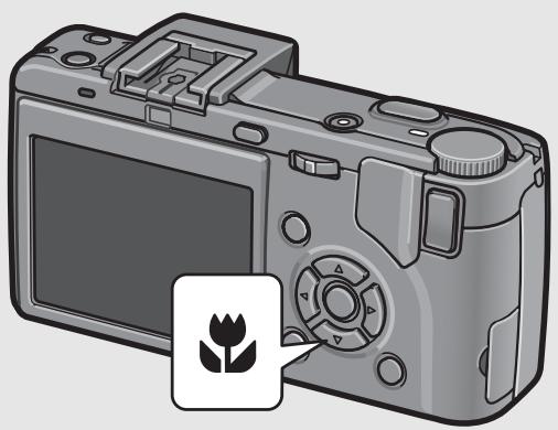 RICOH CAPLIO GX100 - With the camera ready to shoot, press the (Macro) button. - 1