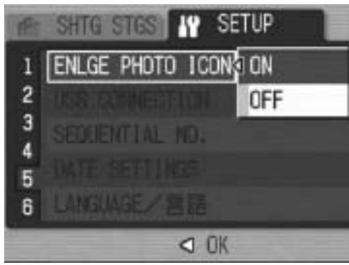 RICOH CAPLIO GX100 - Enlarging Icon Display (ENLGE PHOTO ICON) - 1