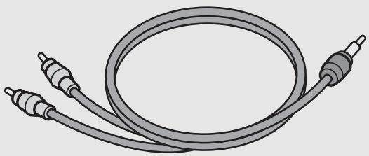 RICOH CAPLIO GX100 - AV Cable - 1