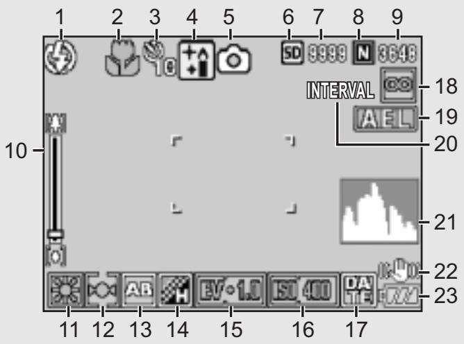 RICOH CAPLIO GX100 - Example of LCD Monitor Display when Shooting Pictures - 1