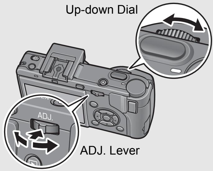 RICOH CAPLIO GX100 - How to Use the Up-down Dial and ADJ. Lever - 1
