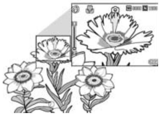 RICOH CAPLIO GX100 - Key Features - 4