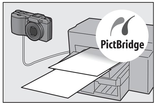RICOH CAPLIO GX100 - Irodio Photo &amp; Video Studio software for browsing, viewing, and editing still images and movies (P.166) - 1