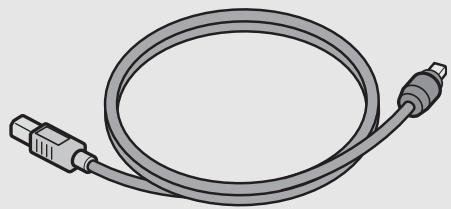 RICOH CAPLIO GX100 - USB Cable - 1