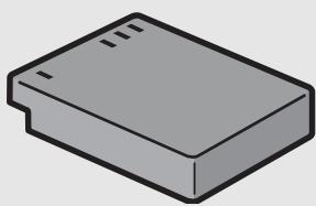 RICOH CAPLIO GX100 - AC Adapter (AC-4c) - 2