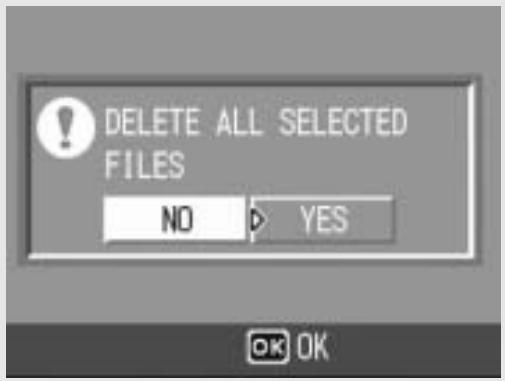 RICOH CAPLIO R6 - Press the  buttons to select [YES] and then press the MENU/OK button. - 1