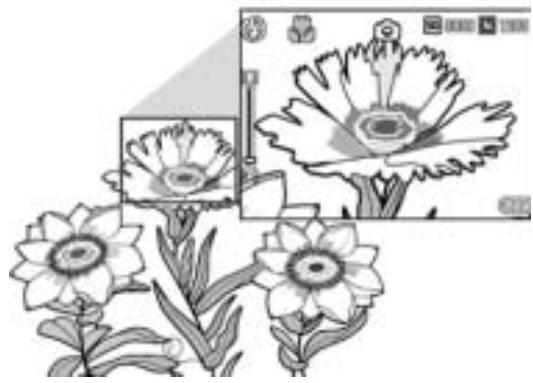 RICOH CAPLIO R6 - Camera shake correction function reduces blurring (P.93) - 1