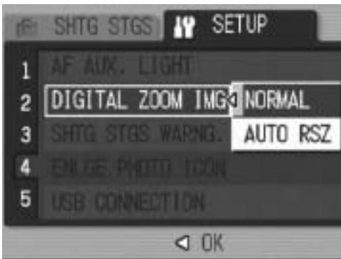 RICOH CAPLIO R6 - Zoom Magnification and Recorded Image Size - 1