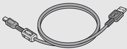 RICOH CAPLIO R6 - USB Cable (Mini B cable) - 1