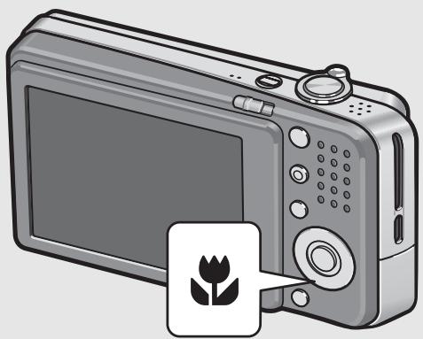 RICOH CAPLIO R6 - With the camera ready to shoot, press the (Macro) button. - 1
