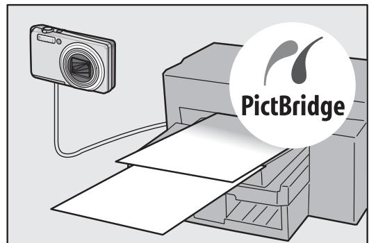 RICOH CAPLIO R6 - Irodio Photo & Video Studio software for browsing, viewing, and editing still images and movies (P.150) - 1