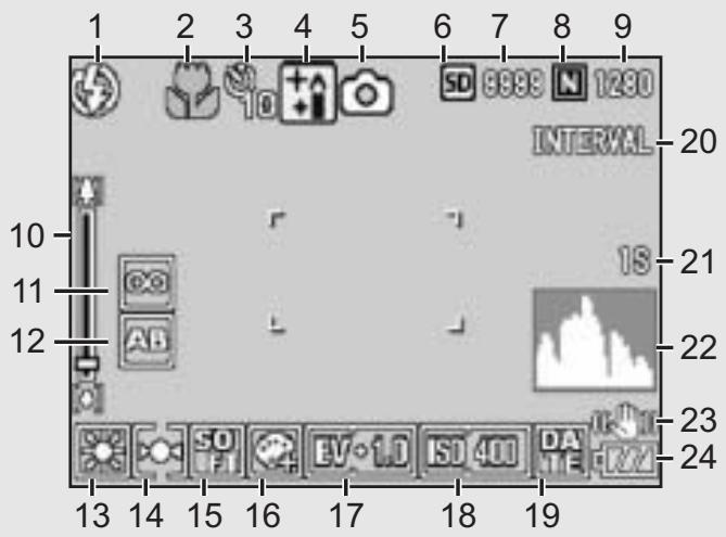 RICOH CAPLIO R6 - LCD Monitor Display - 1