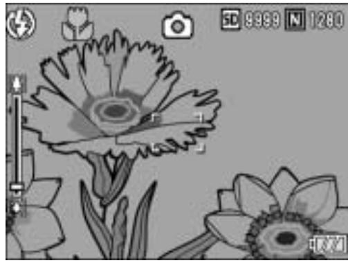 RICOH CAPLIO R6 - Shifting the AF Target (Macro) - 1