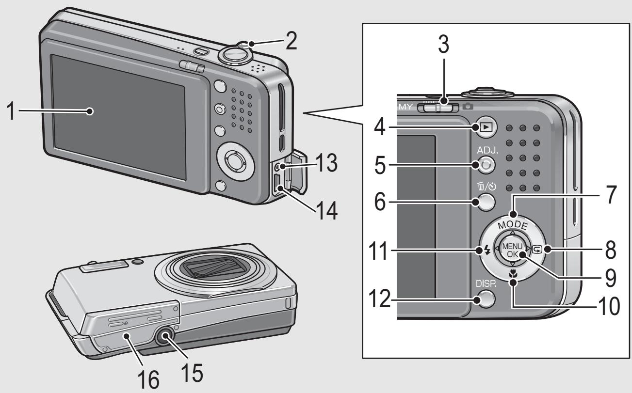 RICOH CAPLIO R6 - Front View - 2