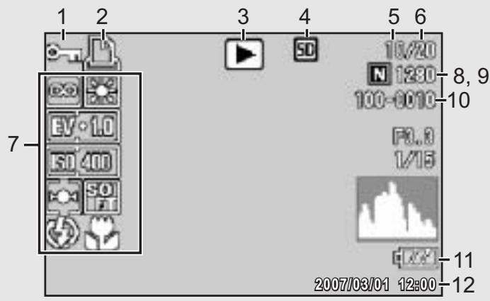 RICOH CAPLIO R6 - Example of LCD Monitor Display During Playback - 1