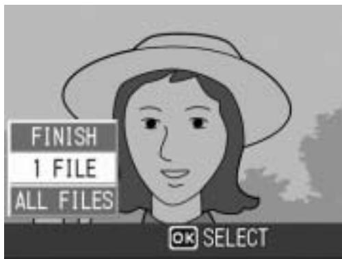RICOH CAPLIO R6 - Make sure that [1 FILE] is selected, and then press the MENU/OK button. - 2