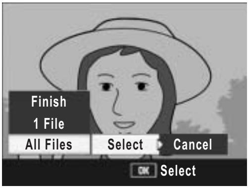RICOH CAPLIO R7 - Setting DPOF for All Still Images - 2