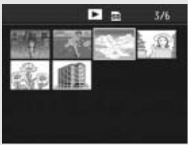 RICOH CAPLIO R7 - Three-frame View/Grid View (Thamburger Display) - 9