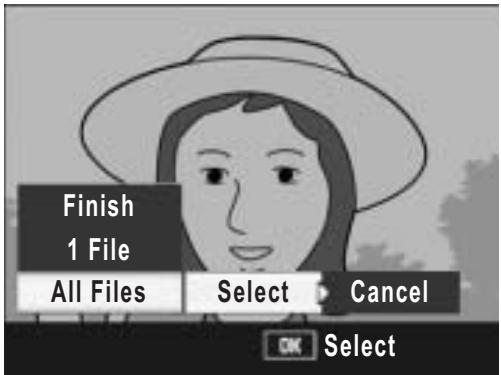 RICOH CAPLIO R7 - Protecting All Files - 2