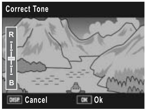 RICOH CAPLIO R7 - Correcting the Image Color Tone (Correct Tone) - 2