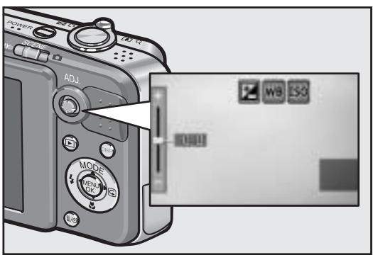 RICOH CAPLIO R7 - White saturation highlights display function (P.57) - 1