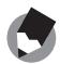 RICOH CAPLIO R7 - For Windows - 1