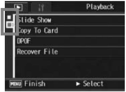 RICOH CAPLIO R7 - Changing the display - 1