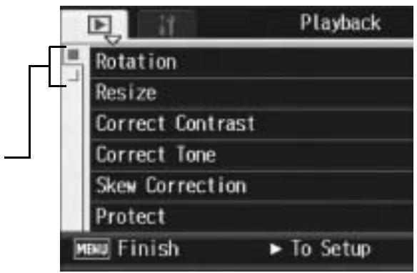 RICOH CAPLIO R7 - Using the Menu - 1