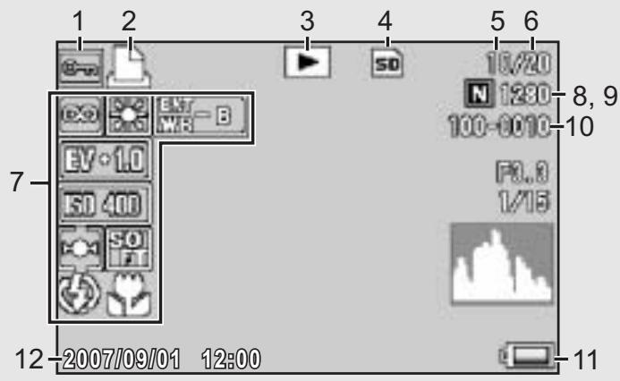 RICOH CAPLIO R7 - Example of LCD Monitor Display During Playback - 1