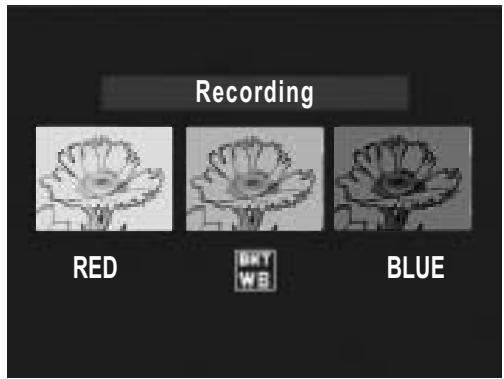 RICOH CAPLIO R7 - Shooting Consecutively with Different White Balance (WB-BKT) - 3