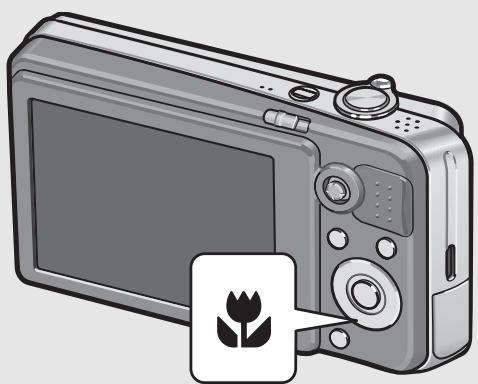 RICOH CAPLIO R7 - With the camera ready to shoot, press the (Macro) button. - 1