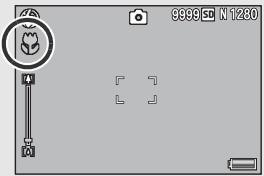 RICOH CX2 - Full-press the shutter release button. - 1