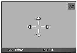 RICOH CX2 - Shifting the AE and AF Targets - 2
