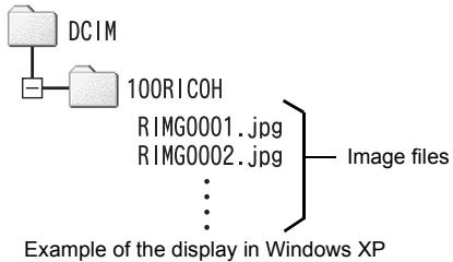 RICOH CX2 - Downloading Images from an SD Memory Card - 1