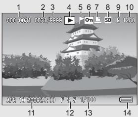 RICOH CX2 - Example of Picture Display During Playback - 1