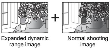 RICOH CX2 - Dynamic Range Expansion Plus Normal Shooting - 1