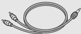 RICOH CX2 - AV Cable - 1