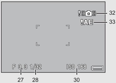 RICOH CX2 - Example of Picture Display when Shooting Pictures - 2