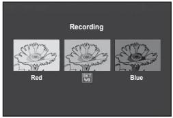 RICOH CX2 - Press the shutter release button to shoot the picture. - 1